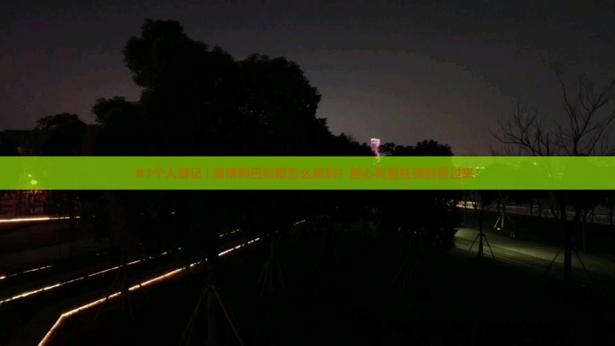 #1个人游记 | 淄博到巴松措怎么规划？担心花冤枉钱的看过来！