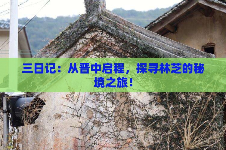 三日记：从晋中启程，探寻林芝的秘境之旅！