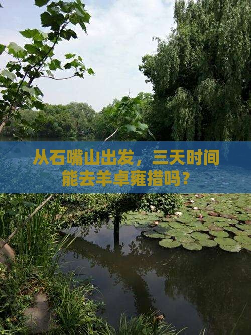 从石嘴山出发，三天时间能去羊卓雍措吗？