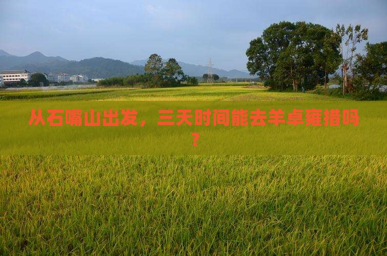 从石嘴山出发，三天时间能去羊卓雍措吗？