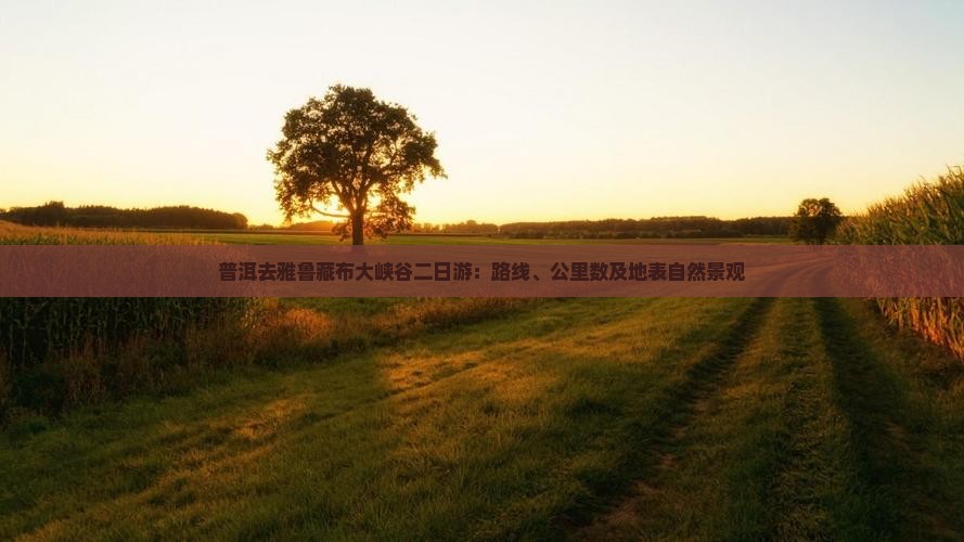 普洱去雅鲁藏布大峡谷二日游：路线、公里数及地表自然景观