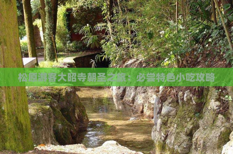 松原游客大昭寺朝圣之旅：必尝特色小吃攻略