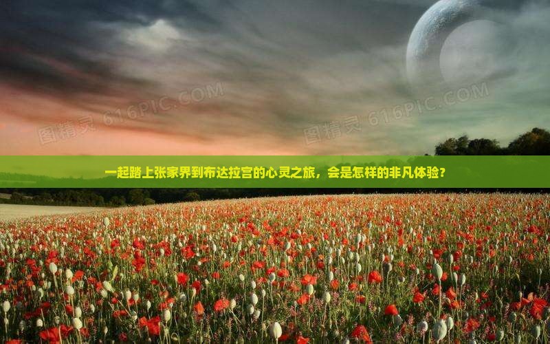 一起踏上张家界到布达拉宫的心灵之旅，会是怎样的非凡体验？