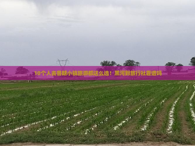 10个人去鲁朗小镇旅游都这么选！黑河到旅行社靠谱吗