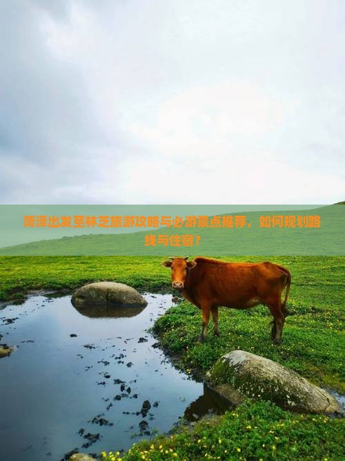 菏泽出发至林芝旅游攻略与必游景点推荐，如何规划路线与住宿？