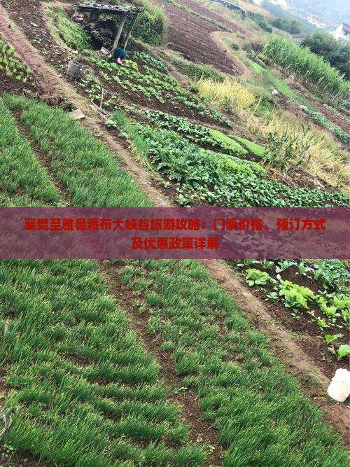 襄樊至雅鲁藏布大峡谷旅游攻略：门票价格、预订方式及优惠政策详解