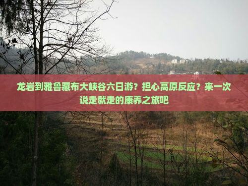 龙岩到雅鲁藏布大峡谷六日游？担心高原反应？来一次说走就走的康养之旅吧