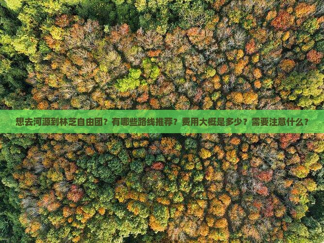 想去河源到林芝自由团？有哪些路线推荐？费用大概是多少？需要注意什么？