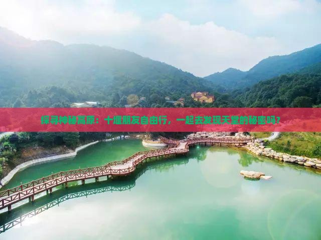 探寻神秘高原：十堰朋友自由行，一起去发现天堂的秘密吗？