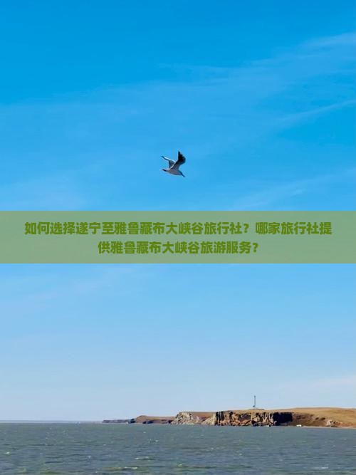 如何选择遂宁至雅鲁藏布大峡谷旅行社？哪家旅行社提供雅鲁藏布大峡谷旅游服务？