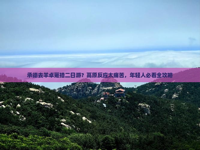 承德去羊卓雍措二日游？高原反应太痛苦，年轻人必看全攻略