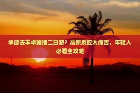 承德去羊卓雍措二日游？高原反应太痛苦，年轻人必看全攻略