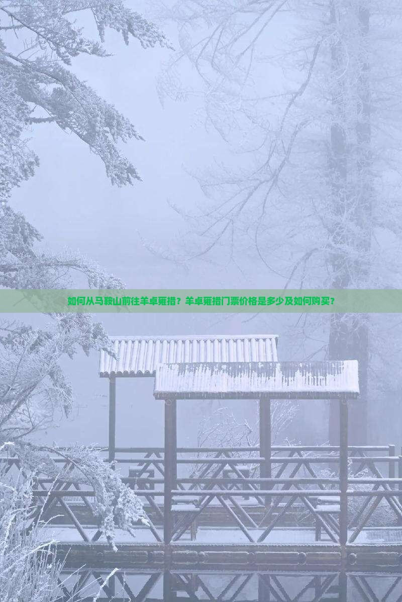 如何从马鞍山前往羊卓雍措？羊卓雍措门票价格是多少及如何购买？