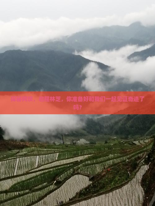 探秘阿坝，启程林芝，你准备好和我们一起见证奇迹了吗？