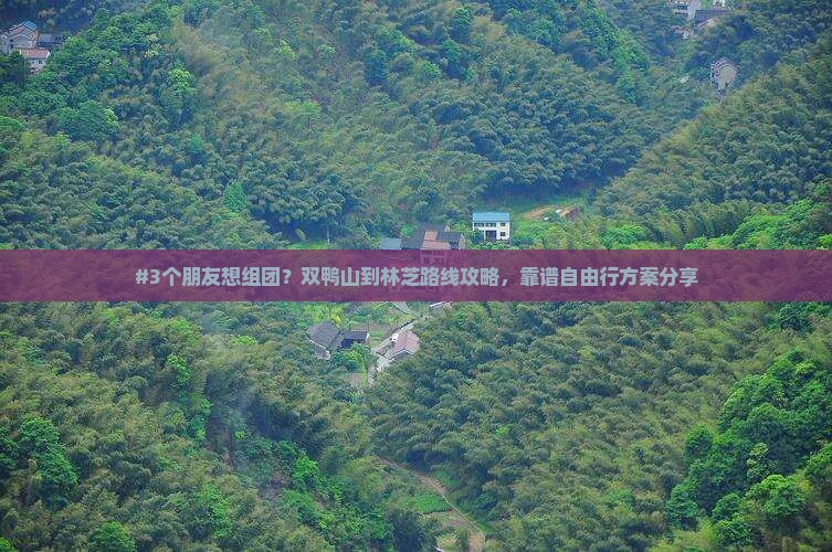 #3个朋友想组团？双鸭山到林芝路线攻略，靠谱自由行方案分享