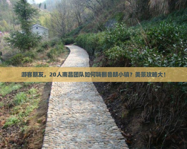 游客朋友，20人南昌团队如何嗨翻鲁朗小镇？美景攻略大！