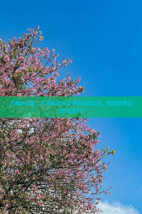 六盘水出发，六天探寻大昭寺的信仰之旅，你能感受心灵的震撼吗？