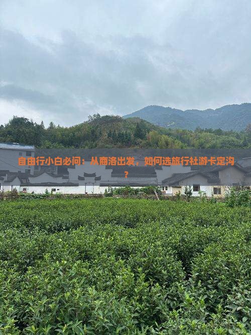 自由行小白必问：从商洛出发，如何选旅行社游卡定沟？