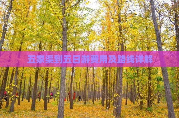 五家渠到五日游费用及路线详解