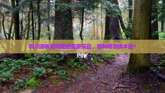 铜川游客如何规避高原反应，顺利畅游纳木措？
