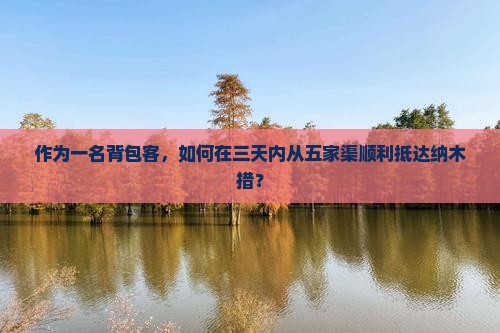 作为一名背包客，如何在三天内从五家渠顺利抵达纳木措？