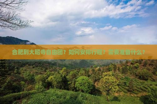 合肥到大昭寺自由团?如何安排行程?需要准备什么? 合肥到大昭寺自由团?如何安排行程?需要准备什么?