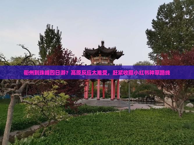 衢州到珠峰四日游？高原反应太难受，赶紧收藏小红书种草路线