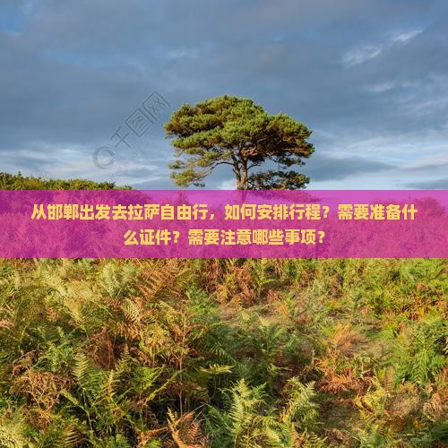 从邯郸出发去拉萨自由行，如何安排行程？需要准备什么证件？需要注意哪些事项？