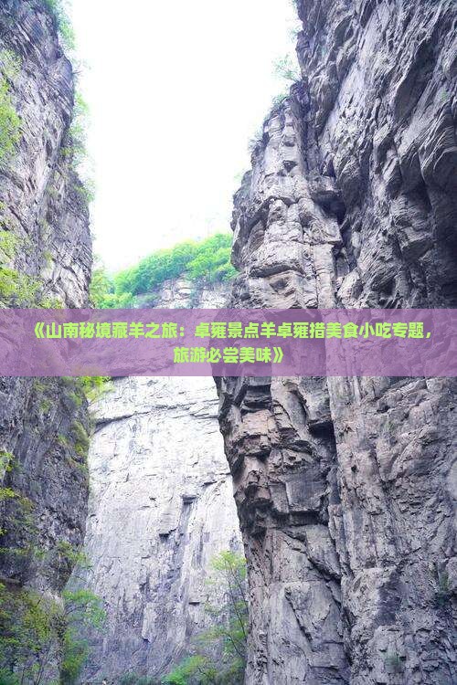 《山南秘境藏羊之旅：卓雍景点羊卓雍措美食小吃专题，旅游必尝美味》