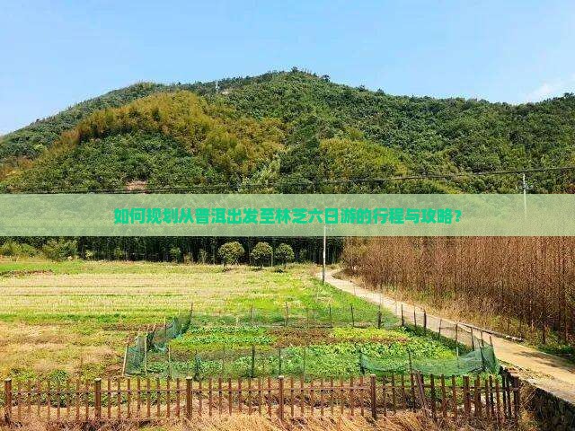如何规划从普洱出发至林芝六日游的行程与攻略？