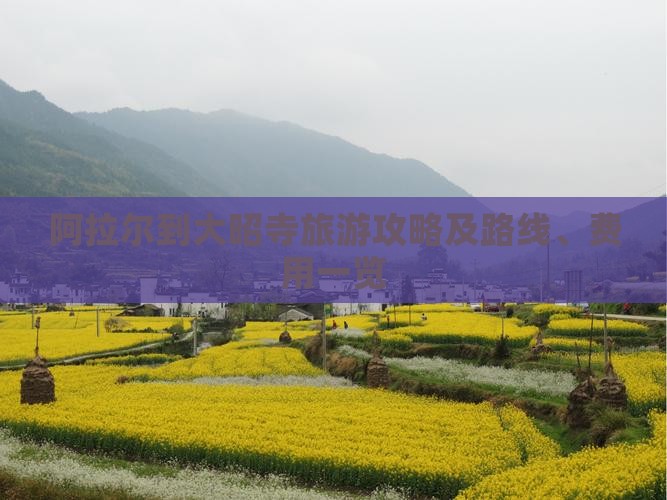 阿拉尔到大昭寺旅游攻略及路线、费用一览