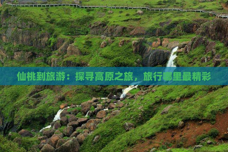 仙桃到旅游：探寻高原之旅，旅行哪里最精彩