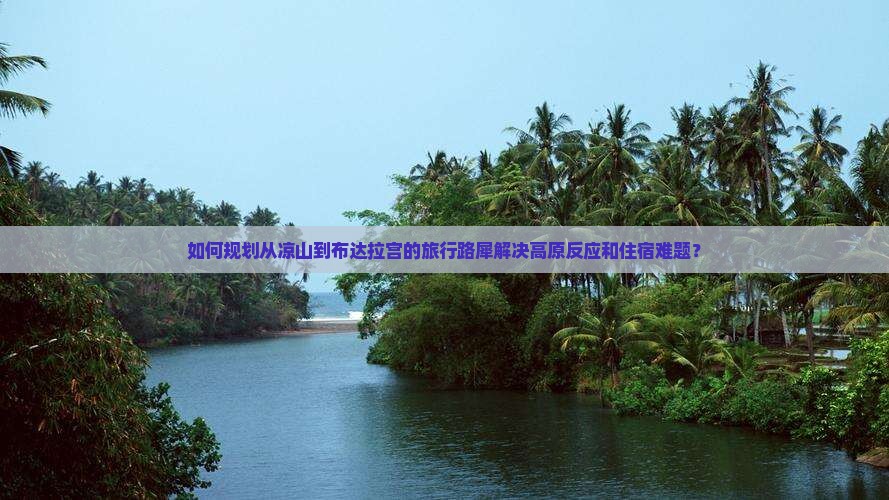 如何规划从凉山到布达拉宫的旅行路犀解决高原反应和住宿难题？