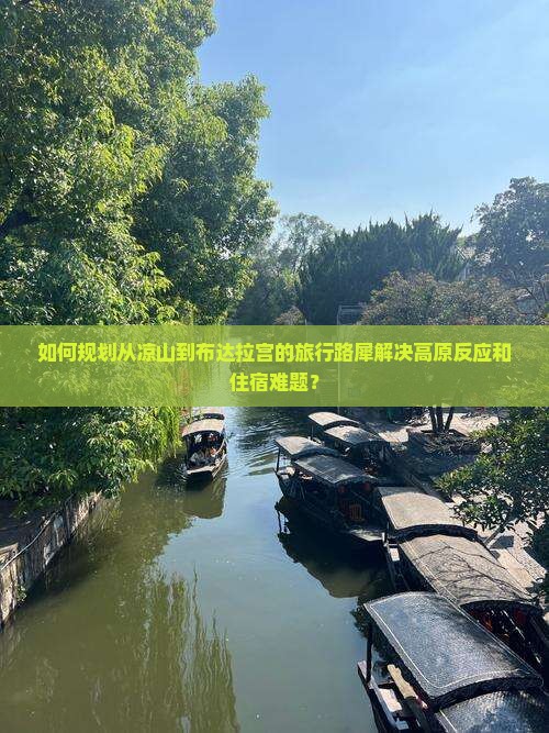 如何规划从凉山到布达拉宫的旅行路犀解决高原反应和住宿难题？