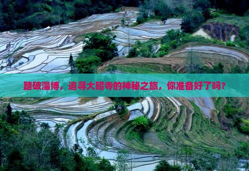 踏破淄博,追寻大昭寺的神秘之旅,你准备好了吗? 踏破淄博,追寻大昭寺的神秘之旅,你准备好了吗?