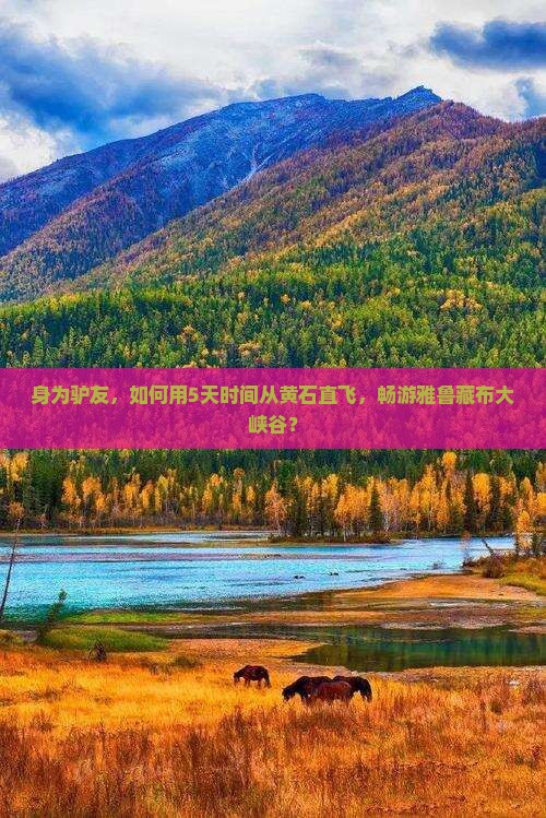 身为驴友，如何用5天时间从黄石直飞，畅游雅鲁藏布大峡谷？