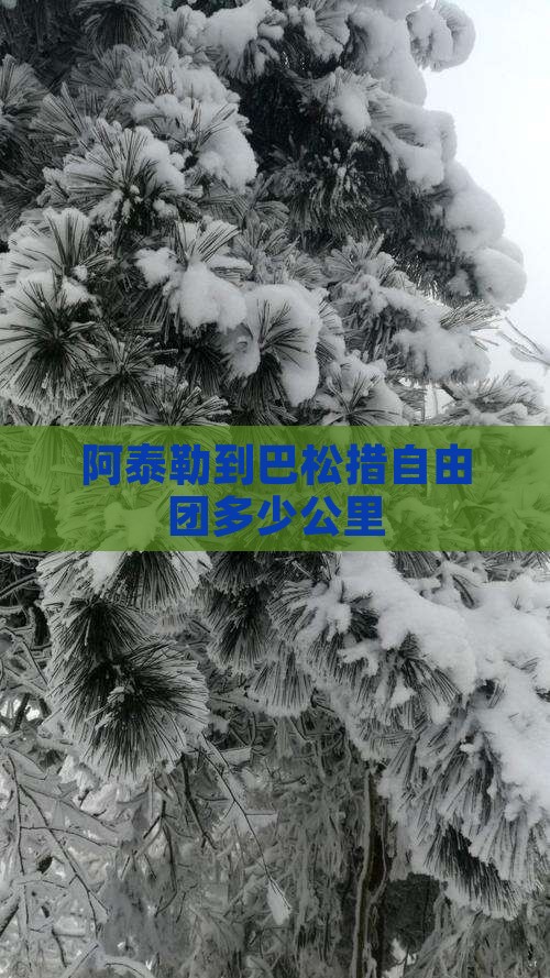 阿泰勒到巴松措自由团多少公里