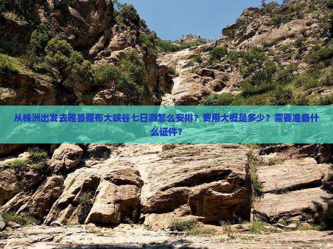 从株洲出发去雅鲁藏布大峡谷七日游怎么安排？费用大概是多少？需要准备什么证件？