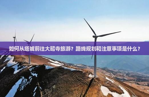 如何从塔城前往大昭寺旅游？路线规划和注意事项是什么？