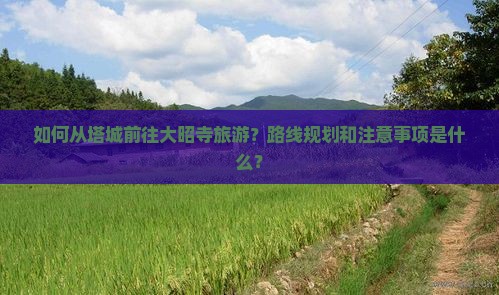 如何从塔城前往大昭寺旅游？路线规划和注意事项是什么？