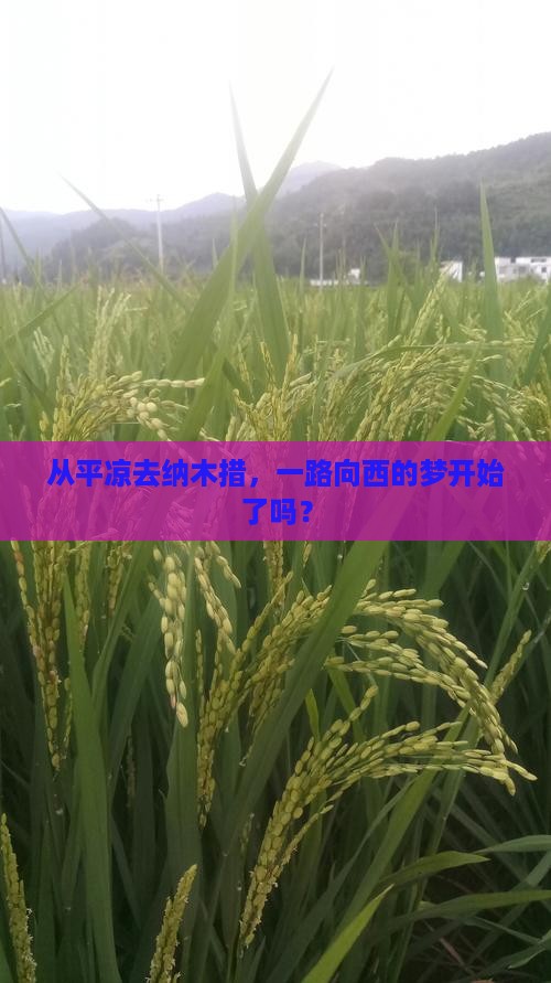 从平凉去纳木措，一路向西的梦开始了吗？