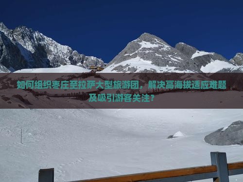 如何组织枣庄至拉萨大型旅游团，解决高海拔适应难题及吸引游客关注？