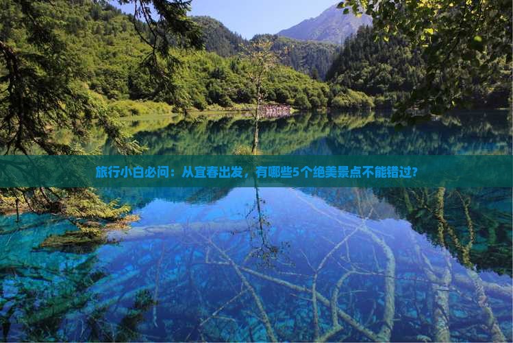 旅行小白必问：从宜春出发，有哪些5个绝美景点不能错过？