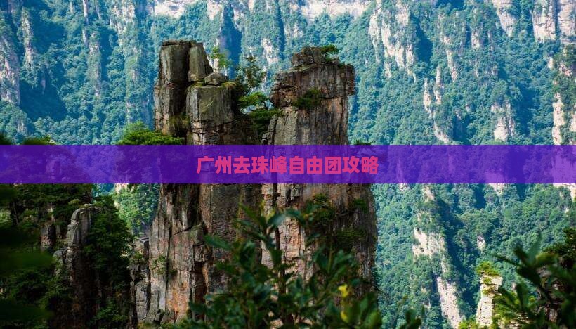广州去珠峰自由团攻略