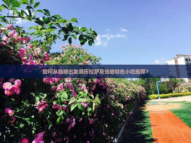 如何从临猗出发游历拉萨及当地特色小吃推荐？
