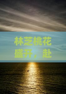 林芝桃花盛开，赴林芝旅游正当时
