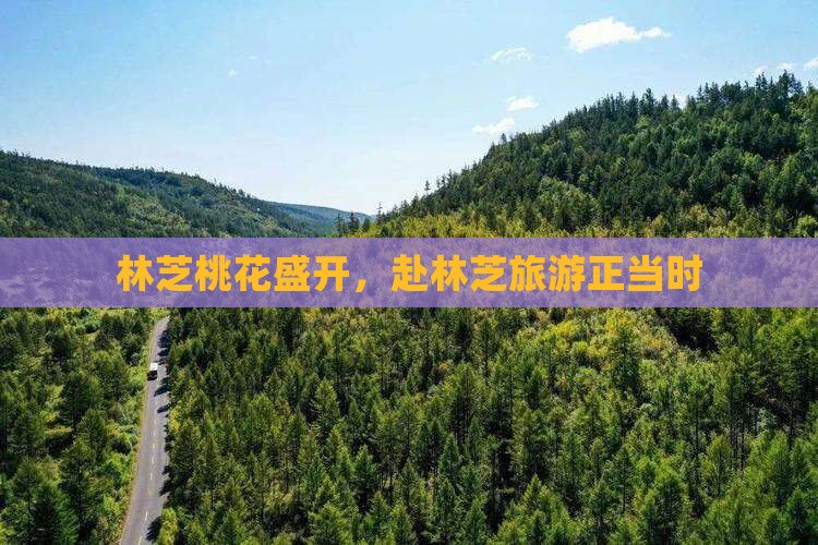 林芝桃花盛开，赴林芝旅游正当时
