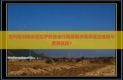 如何规划阳泉至拉萨的自由行路犀解决高原适应难题与费用预算？