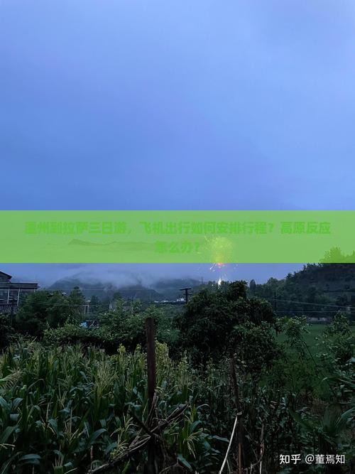 温州到拉萨三日游，飞机出行如何安排行程？高原反应怎么办？