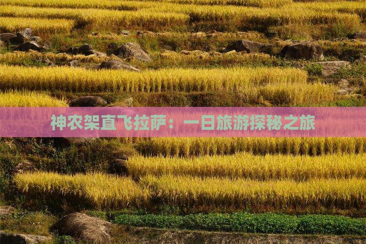 神农架直飞拉萨：一日旅游探秘之旅
